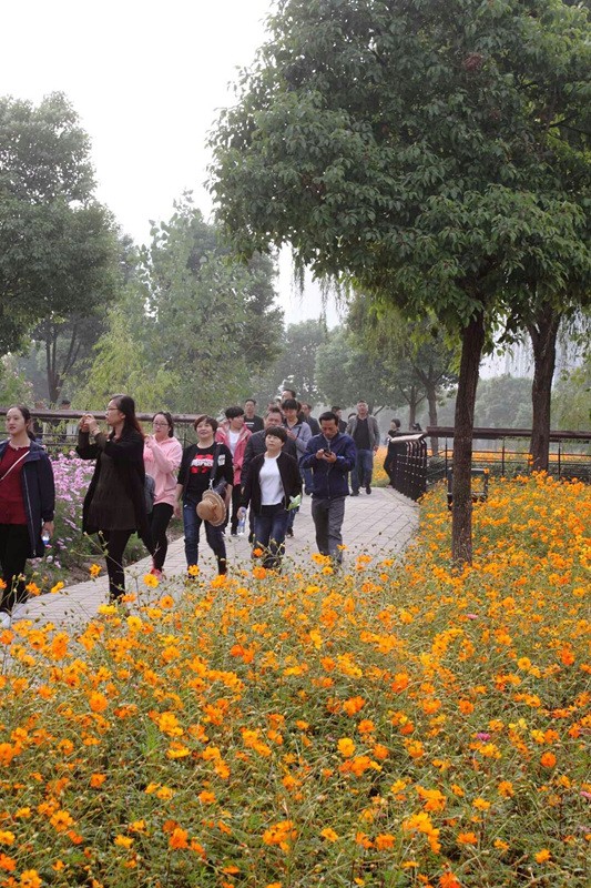 1508809514692640.jpg 1508809514692640.jpg