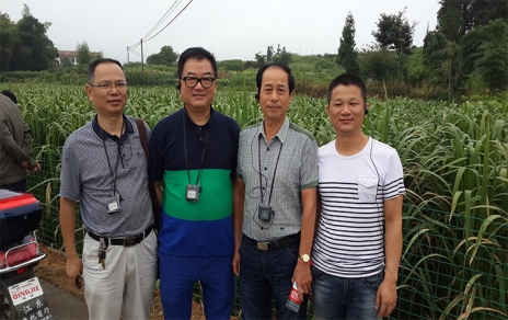 2014年8月，中國(guó)蔬菜流通協(xié)會(huì)會(huì)長(zhǎng)戴中久與公司、市場(chǎng)領(lǐng)導(dǎo)一起考察蔬菜基地