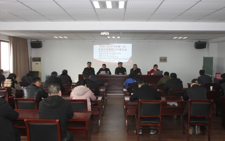 履行“兩會”職責(zé)、促進企業(yè)發(fā)展