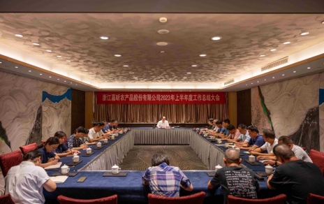 參觀學(xué)習(xí)振奮精神，總結(jié)部署擔(dān)負責(zé)任